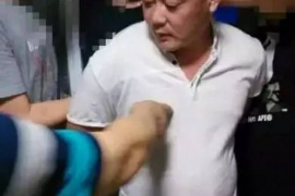 鸠江鸠江讨债公司服务